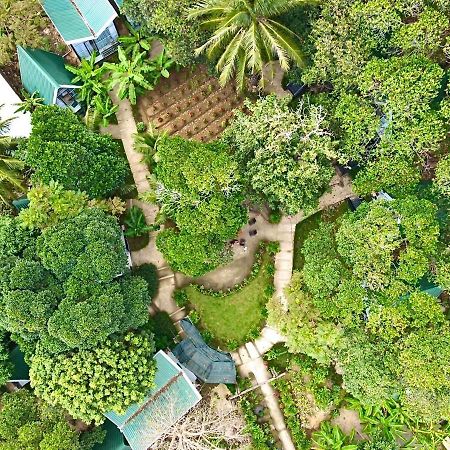 Homestay De La Rosa - Con Dao Chi Khu Co Ong エクステリア 写真