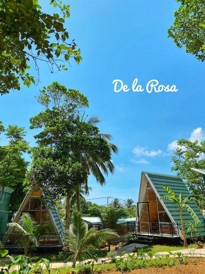 Homestay De La Rosa - Con Dao Chi Khu Co Ong エクステリア 写真