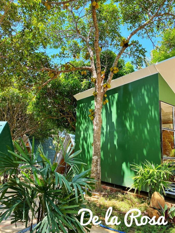 Homestay De La Rosa - Con Dao Chi Khu Co Ong エクステリア 写真