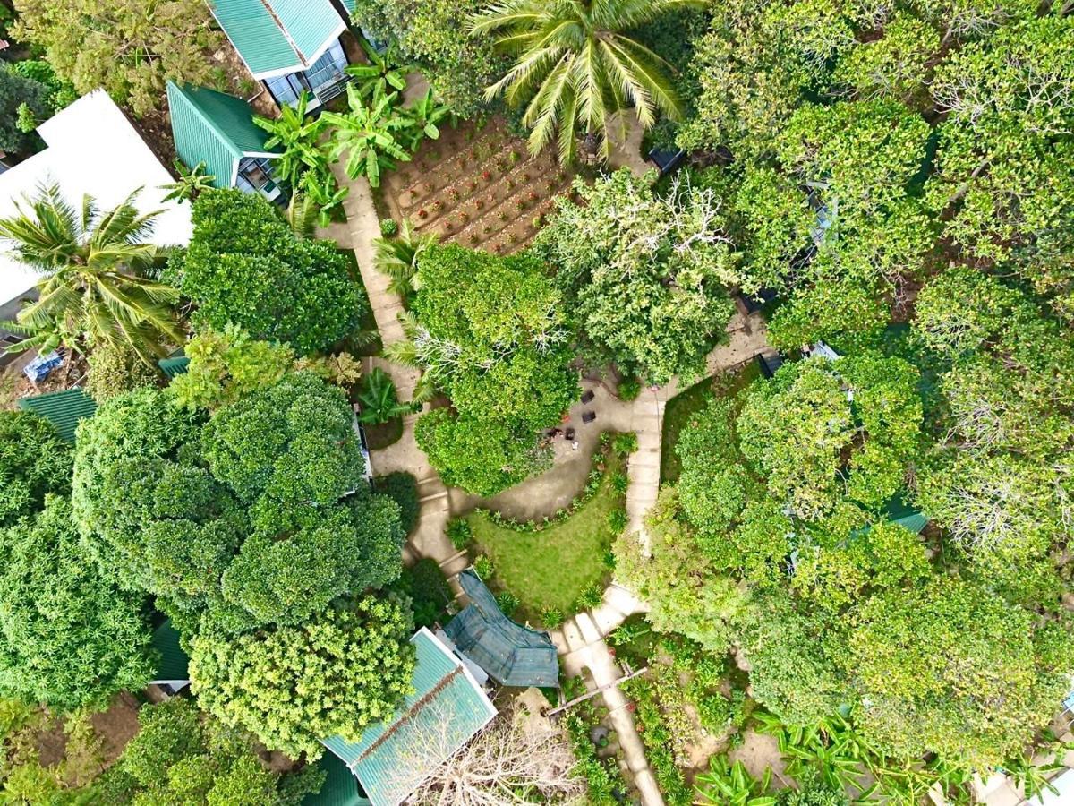 Homestay De La Rosa - Con Dao Chi Khu Co Ong エクステリア 写真